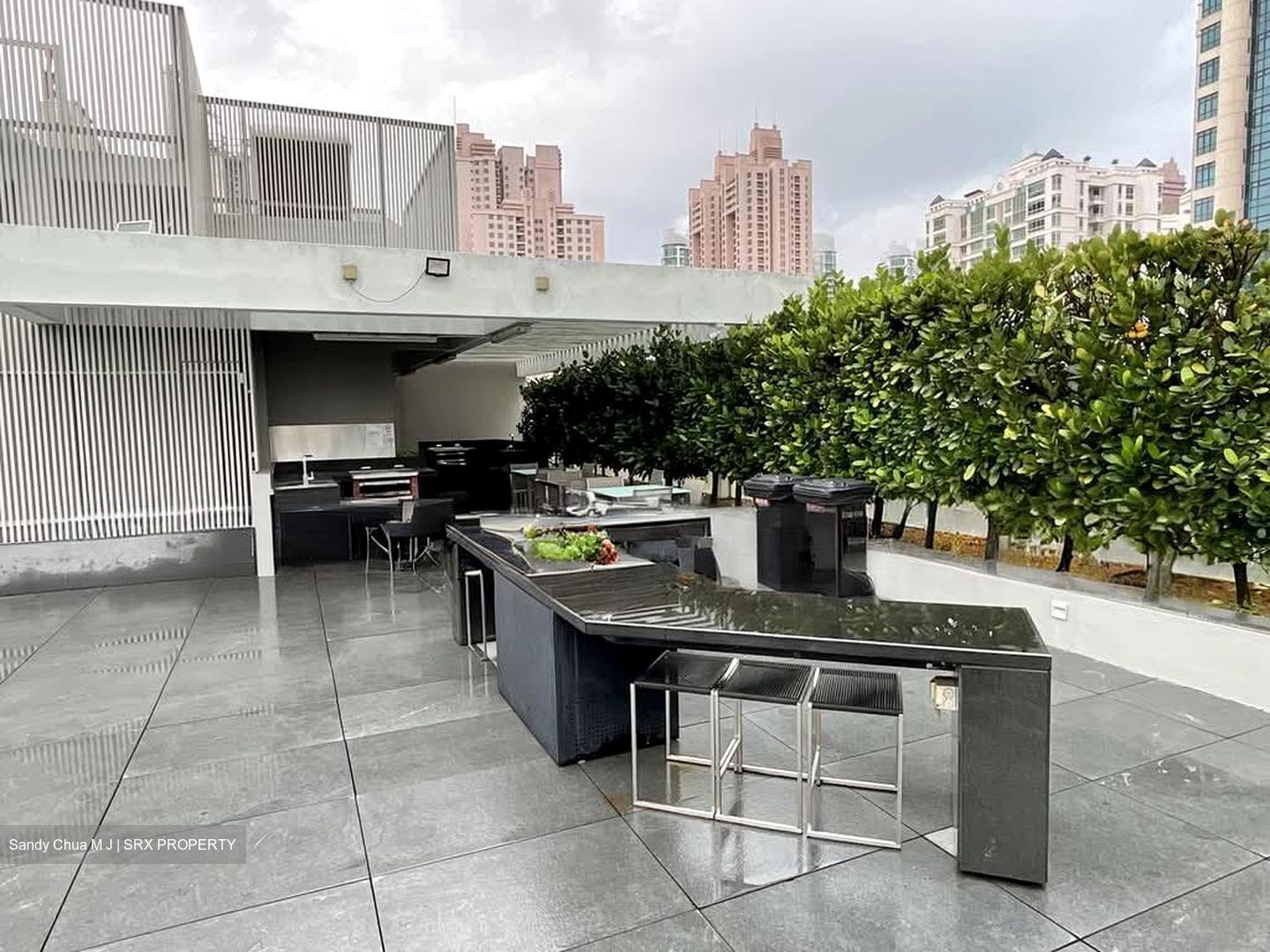 RV Residences (D10), Condominium #576765511
